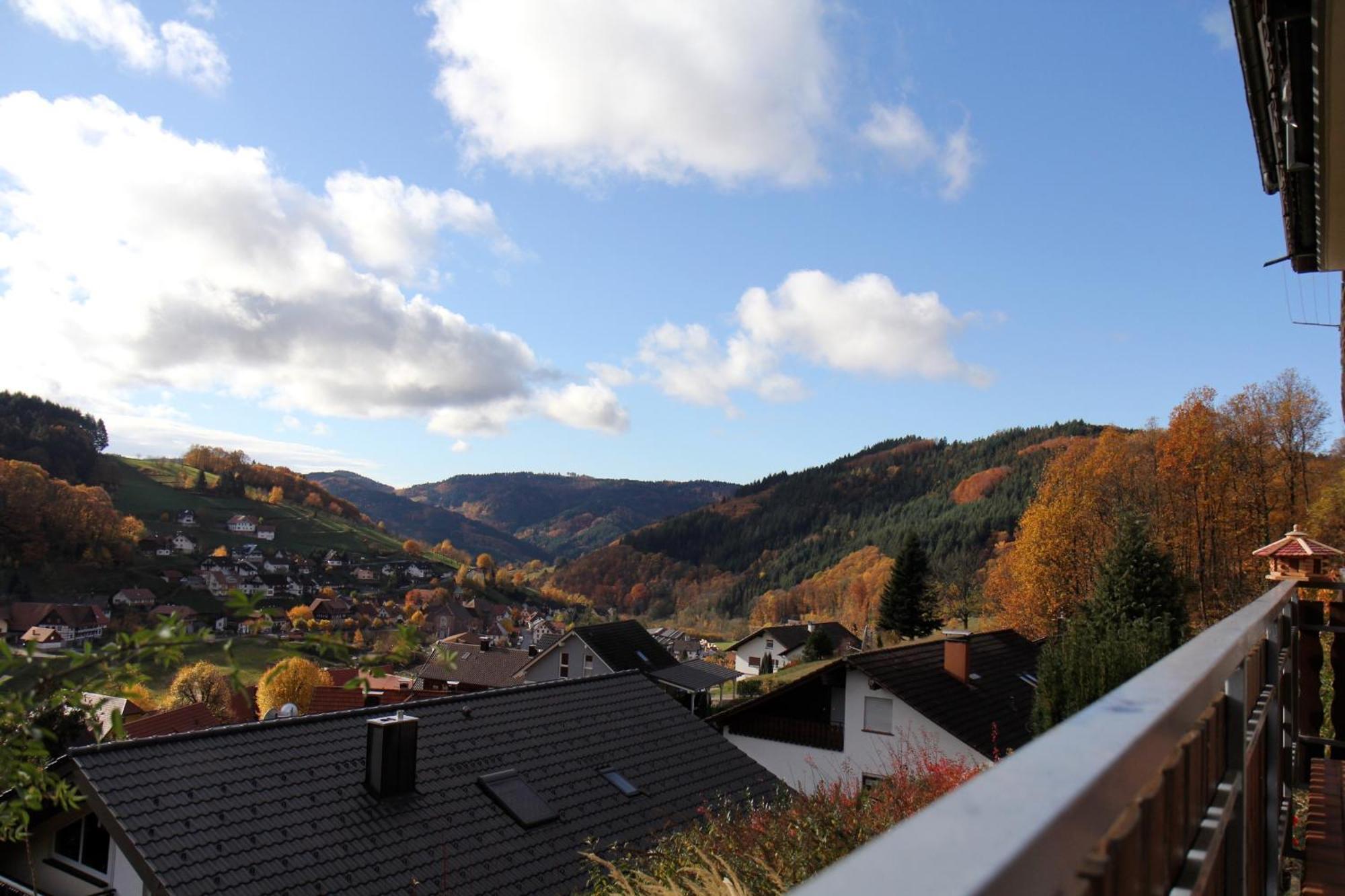 Ferienwohnung Kuckuckslockennest Seebach Buitenkant foto