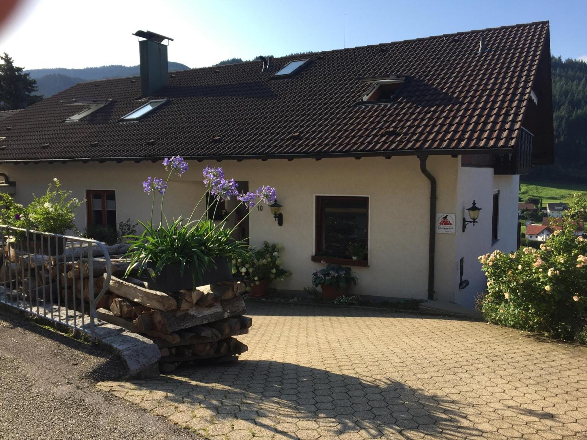 Ferienwohnung Kuckuckslockennest Seebach Buitenkant foto