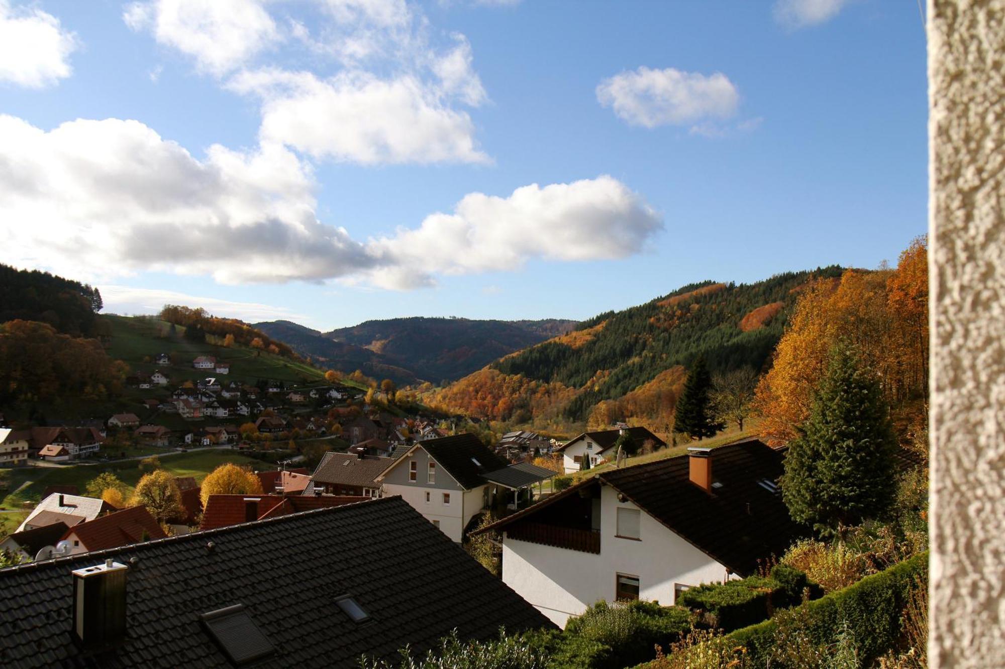 Ferienwohnung Kuckuckslockennest Seebach Buitenkant foto