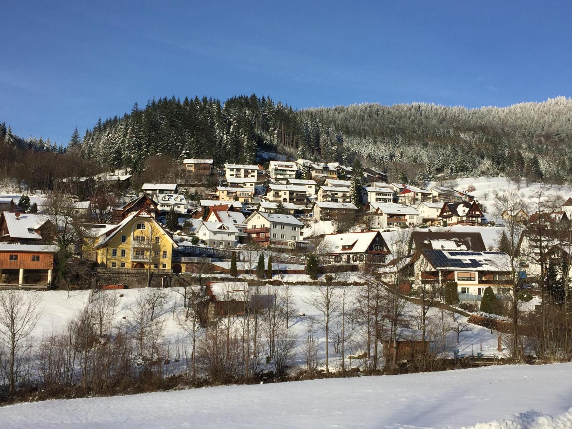 Ferienwohnung Kuckuckslockennest Seebach Buitenkant foto